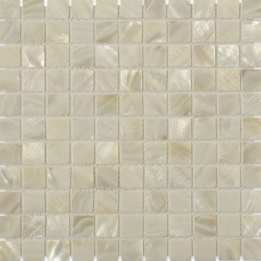 Mother Of Pearl Oyster White Jpg
